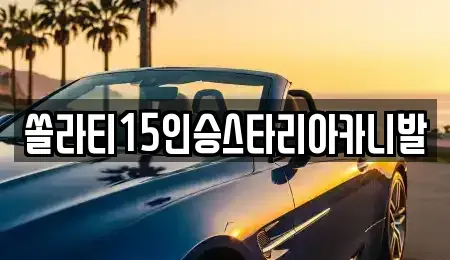 강원특별자치도 춘천시 근화동 렌트카 전문 쏠라티15인승스타리아카니발