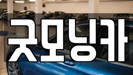 강원특별자치도 춘천시 근화동 중고차매매,단기렌트카,중고차매입,장기렌트카,중고차,렌트카