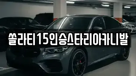강원특별자치도 춘천시 동면 렌트카 전문 쏠라티15인승스타리아카니발