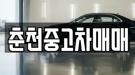 강원특별자치도 춘천시 동면 중고차매입 전문 춘천중고차매매