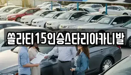 강원특별자치도 춘천시 삼천동 렌트카 전문 쏠라티15인승스타리아카니발
