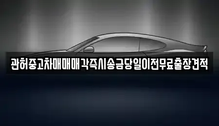 강원특별자치도 춘천시 삼천동 중고차매매 전문 관허중고차매매매각즉시송금당일이전무료출장견적