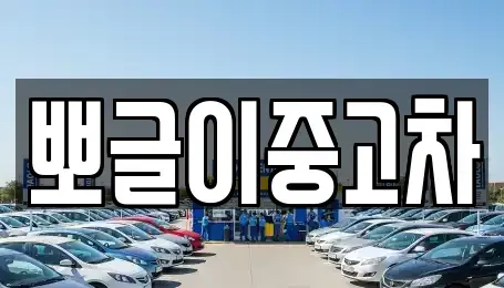 강원특별자치도 태백시 창죽동 중고차 전문 뽀글이중고차
