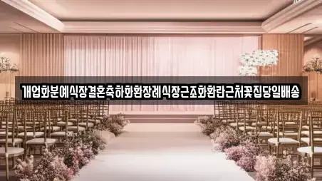 스드메 전문 경기 양주시 회정동 컬렉션 4