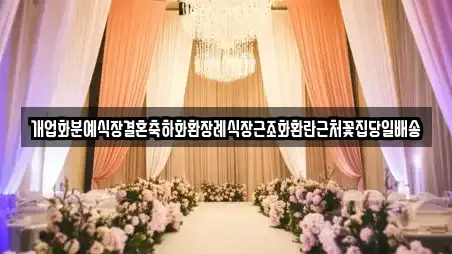 중구 목달동 동네 스드메 2업체