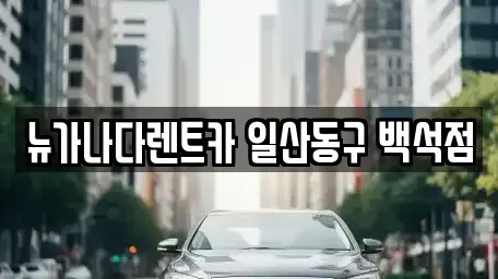 경기 고양시 일산동구 산황동 렌트카 전문 뉴가나다렌트카 일산동구 백석점