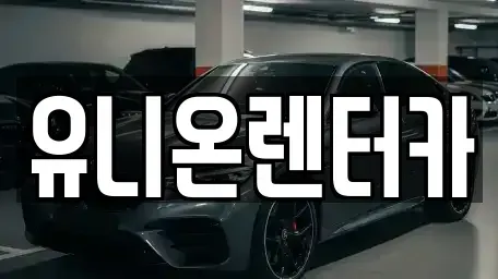 경기 고양시 일산동구 산황동 장기렌트카 전문 유니온렌터카