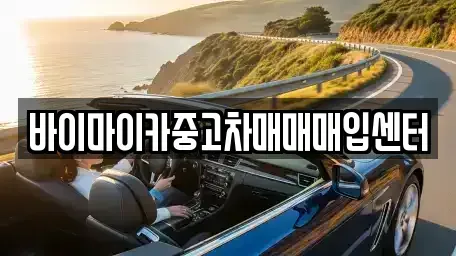 경기 고양시 일산동구 산황동 중고차 전문 바이마이카중고차매매매입센터