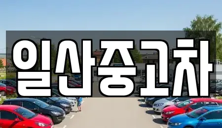 경기 고양시 일산동구 산황동 중고차 전문 일산중고차