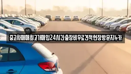 경기 고양시 일산동구 산황동 중고차 전문 중고차매매최고가매입24시간출장비무료견적현장방문지누카