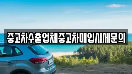 경기 고양시 일산동구 산황동 중고차매입 전문 중고차수출업체중고차매입시세문의