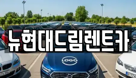 경기 과천시 과천동 렌트카 전문 뉴현대드림렌트카