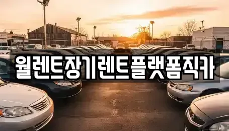 경기 과천시 과천동 장기렌트카 전문 월렌트장기렌트플랫폼직카