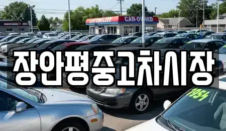 경기 과천시 과천동 중고차매매 전문 장안평중고차시장