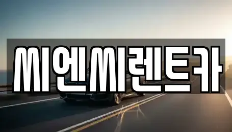 경기 광주시 도척면 렌트카 전문 씨엔씨렌트카