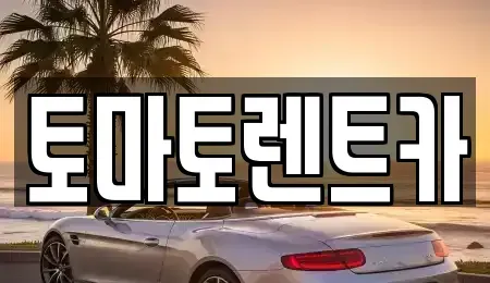 경기 광주시 도척면 렌트카 전문 토마토렌트카