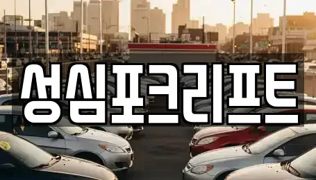 경기 광주시 도척면 중고차 전문 성심포크리프트