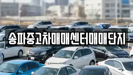 경기 광주시 도척면 중고차 전문 송파중고차매매센터매매단지