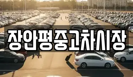 경기 광주시 도척면 중고차 전문 장안평중고차시장