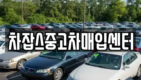 경기 광주시 도척면 중고차매입 전문 차잡스중고차매입센터