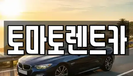 경기 광주시 신현동 렌트카 전문 토마토렌트카