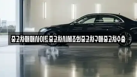 경기 광주시 신현동 중고차매매 전문 중고차매매사이트중고차시세조회중고차구매중고차수출