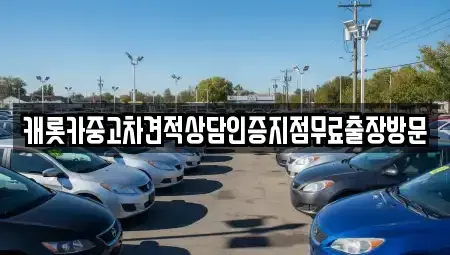경기 광주시 신현동 중고차매매 전문 캐롯카중고차견적상담인증지점무료출장방문