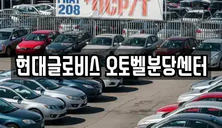 경기 광주시 신현동 중고차매매 전문 현대글로비스 오토벨분당센터