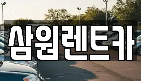 경기 구리시 토평동 렌트카 전문 삼원렌트카