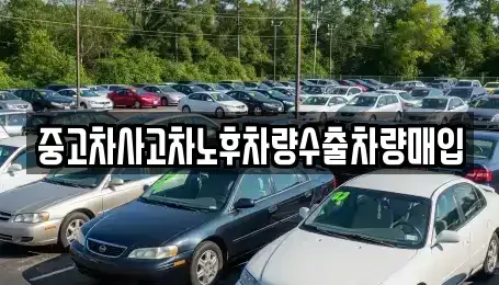 경기 구리시 토평동 중고차 전문 중고차사고차노후차량수출차량매입