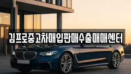 경기 군포시 당정동 중고차매입 전문 김프로중고차매입판매수출매매센터