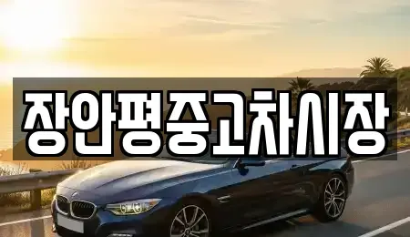 경기 군포시 도마교동 중고차매매 전문 장안평중고차시장