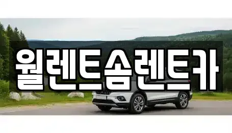 경기 김포시 통진읍 렌트카 전문 월렌트솜렌트카