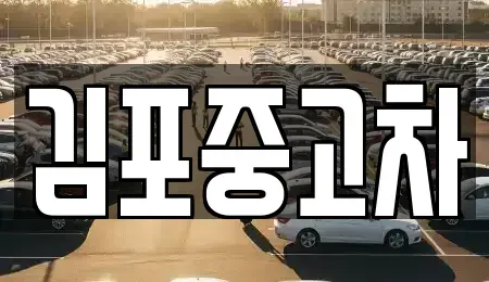 경기 김포시 통진읍 중고차 전문 김포중고차