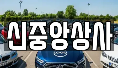 경기 김포시 통진읍 중고차 전문 신중앙상사