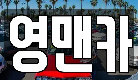 경기 김포시 통진읍 중고차 전문 영맨카