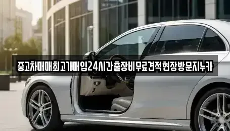 경기 김포시 통진읍 중고차매입 전문 중고차매매최고가매입24시간출장비무료견적현장방문지누카