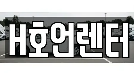 경기 김포시 풍무동 단기렌트카 전문 H호언렌터