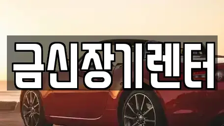 경기 김포시 풍무동 단기렌트카 전문 금신장기렌터