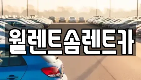경기 김포시 풍무동 렌트카 전문 월렌트솜렌트카