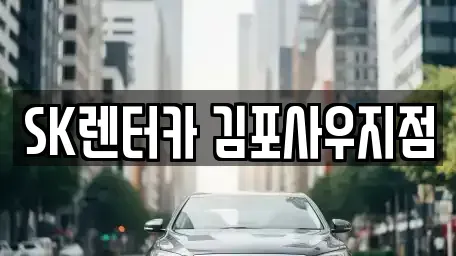 경기 김포시 풍무동 장기렌트카 전문 SK렌터카 김포사우지점