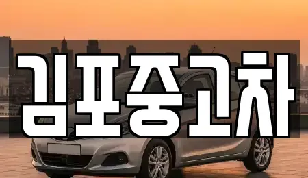 경기 김포시 풍무동 중고차 전문 김포중고차