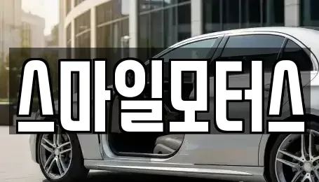 경기 김포시 풍무동 중고차 전문 스마일모터스