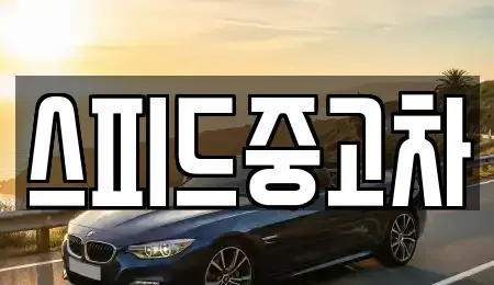 경기 김포시 풍무동 중고차 전문 스피드중고차