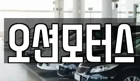 경기 김포시 풍무동 중고차 전문 오션모터스