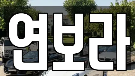 경기 동두천시 렌트카 전문 연보라