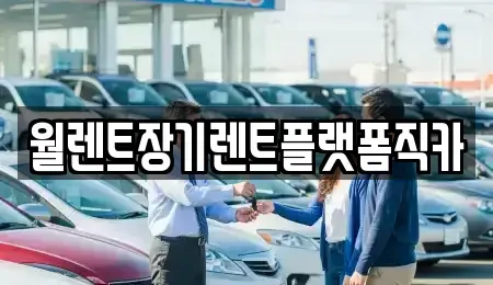 경기 동두천시 장기렌트카 전문 월렌트장기렌트플랫폼직카