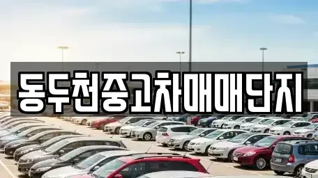 경기 동두천시 중고차 전문 동두천중고차매매단지