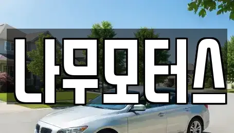경기 부천시 원미구 중고차 전문 나무모터스
