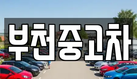 경기 부천시 원미구 중고차 전문 부천중고차